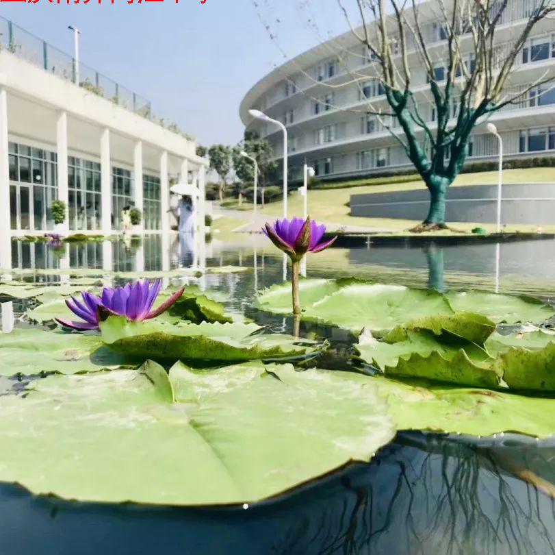 微信图片_20190904204724.jpg