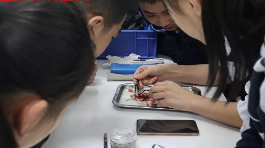 微信图片_20190905230035.jpg