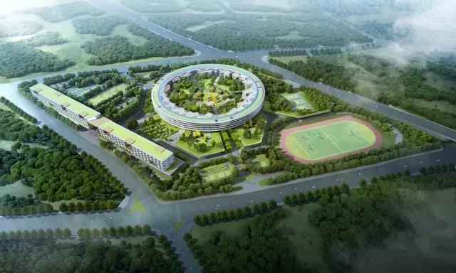 yishumeiguihua_5192032.jpg