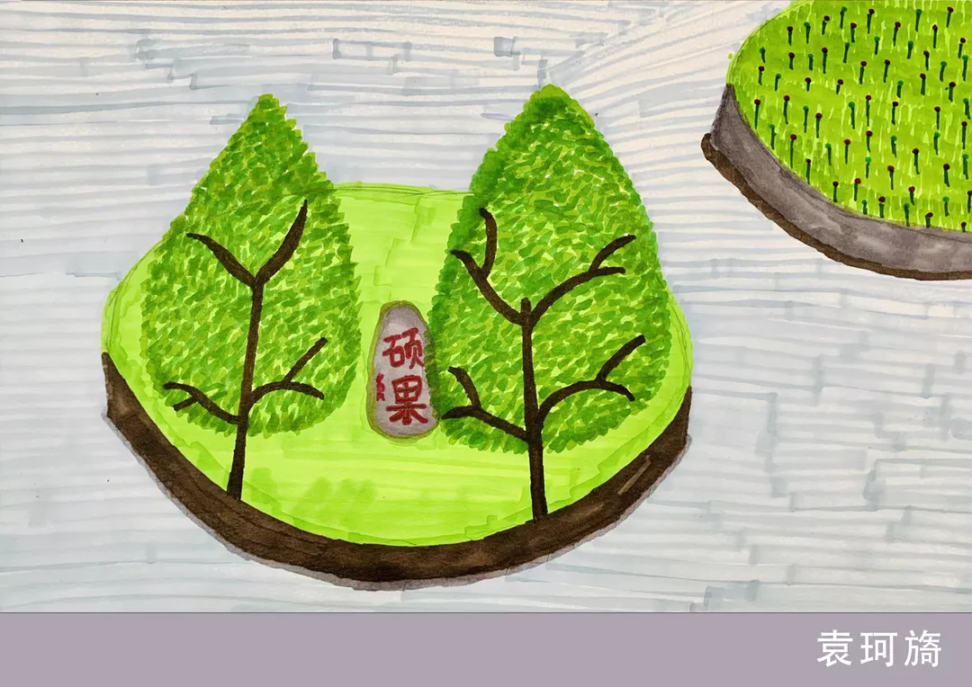 13.png