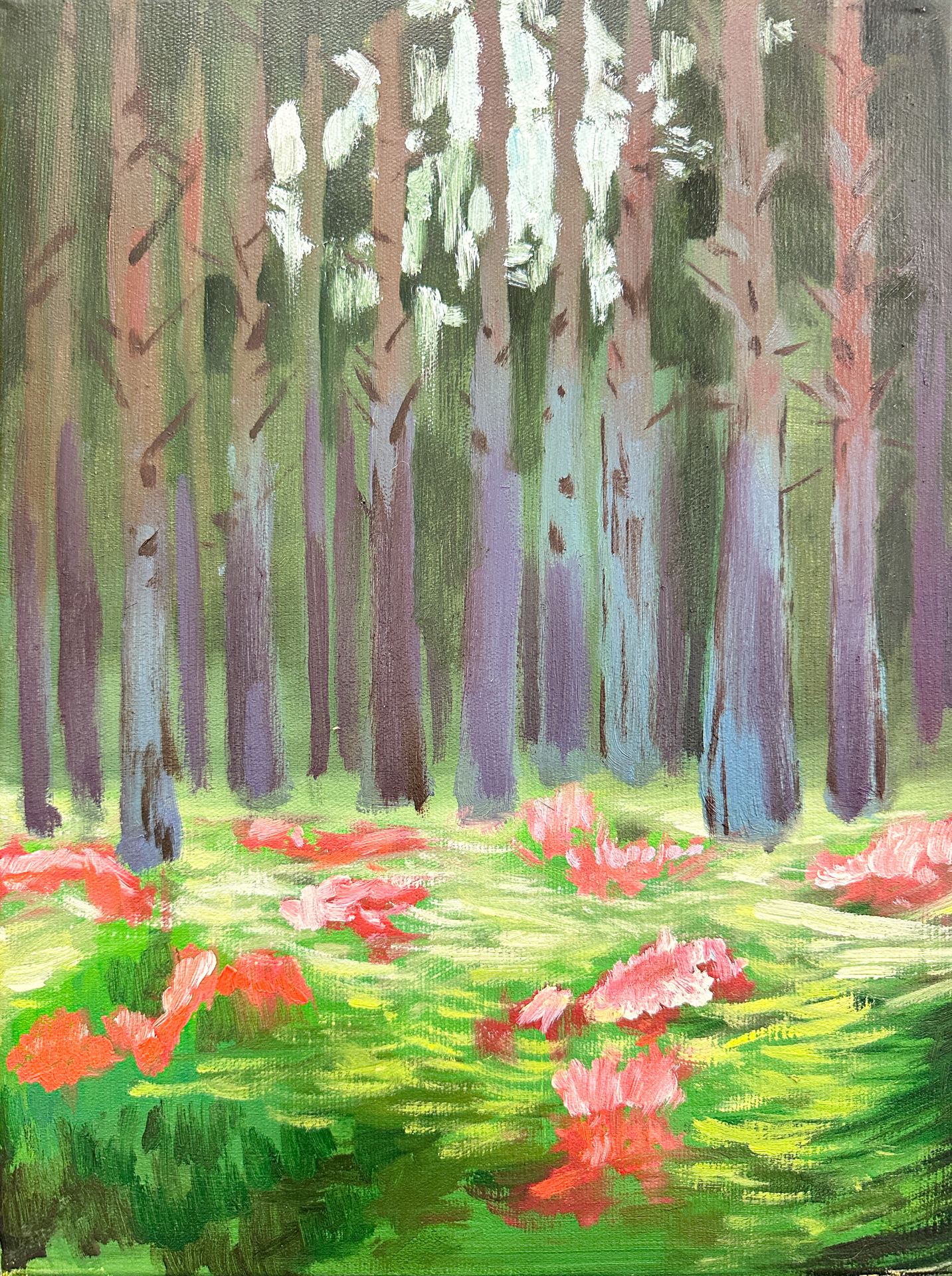 初一8班 赵蕊朵 (2).png