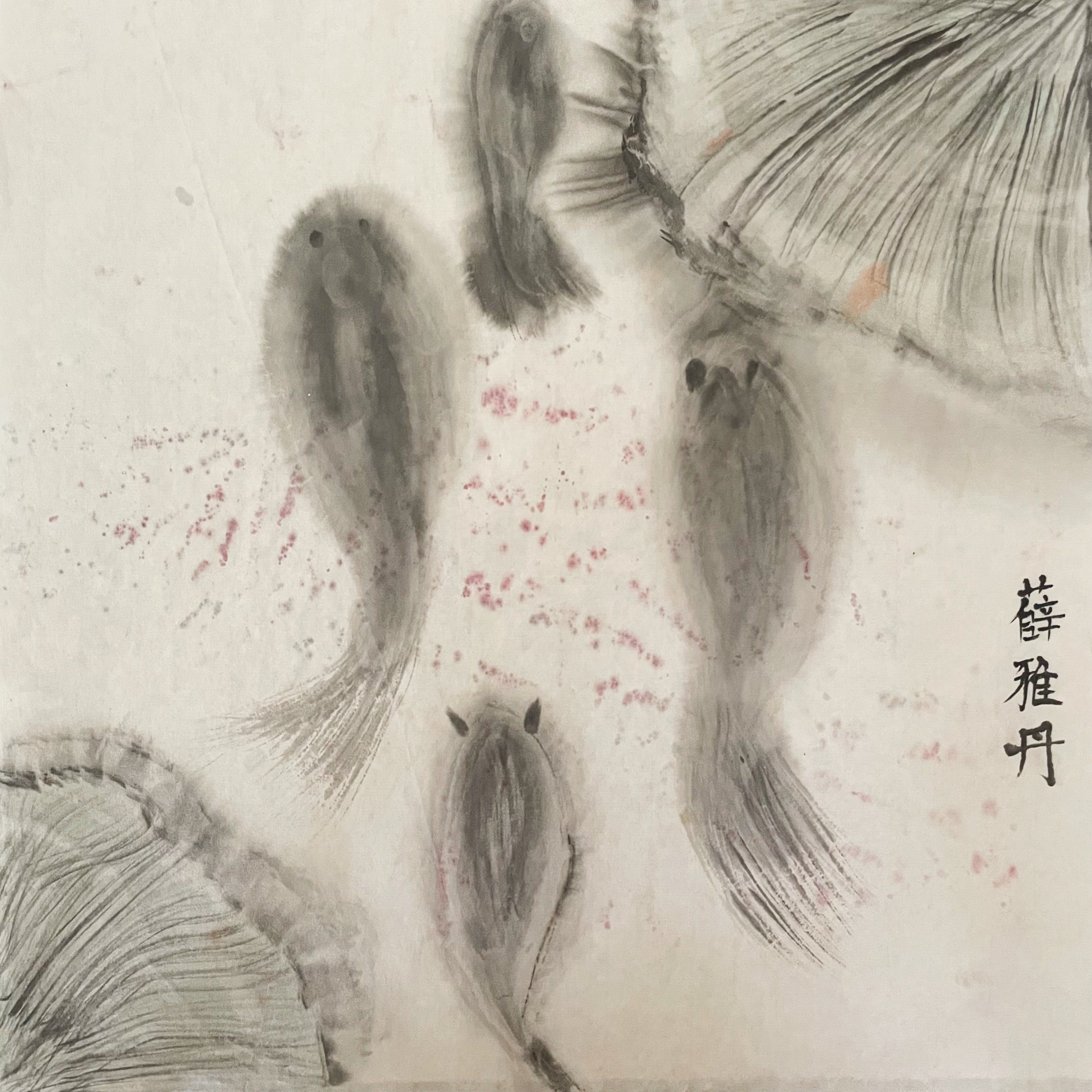 初二4班 薛雅丹.png