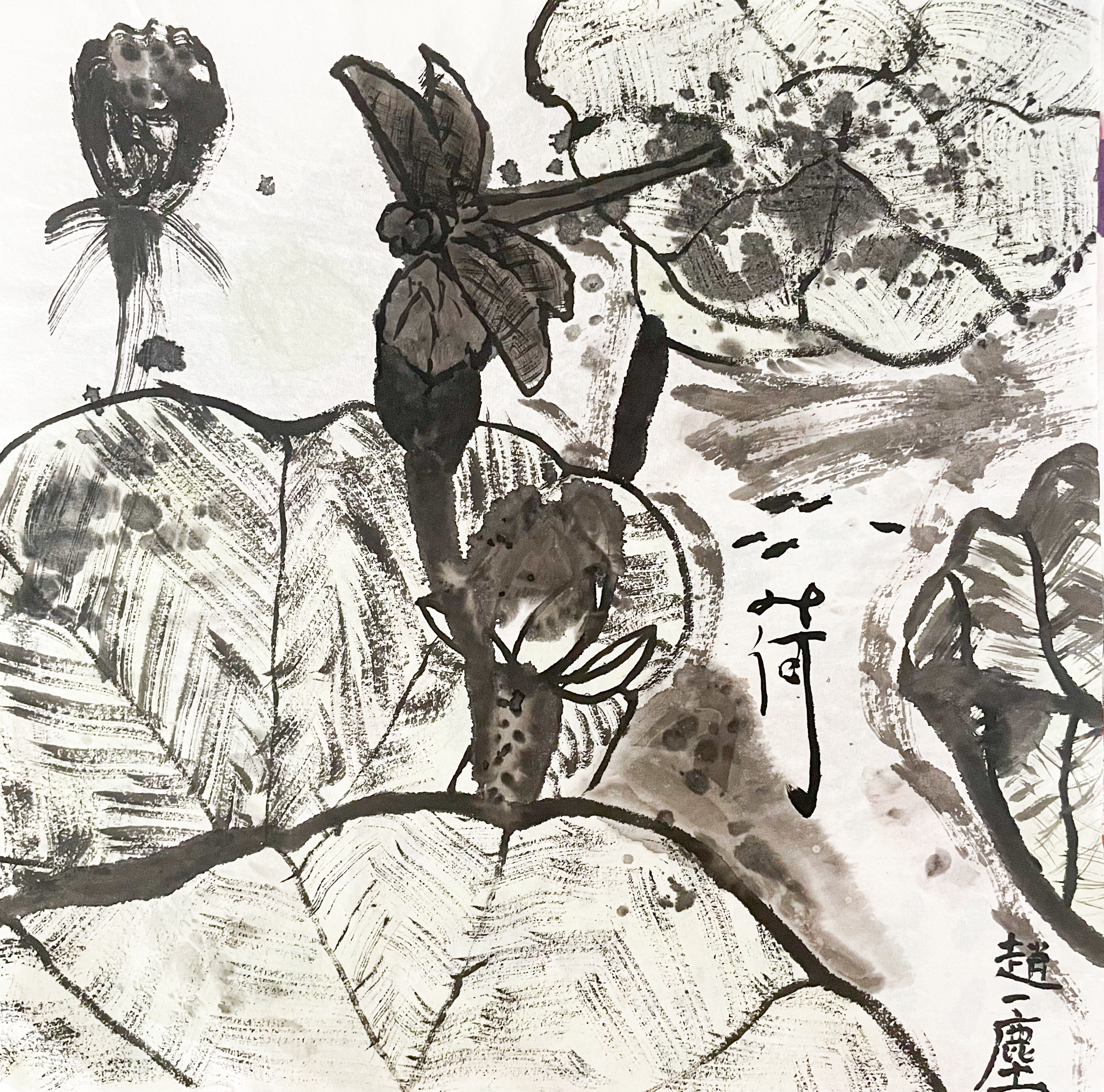 初二9班 赵一尘.png